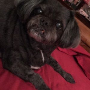 Meet your Posher, Jayne